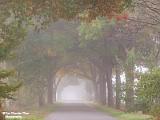 herfst 2022